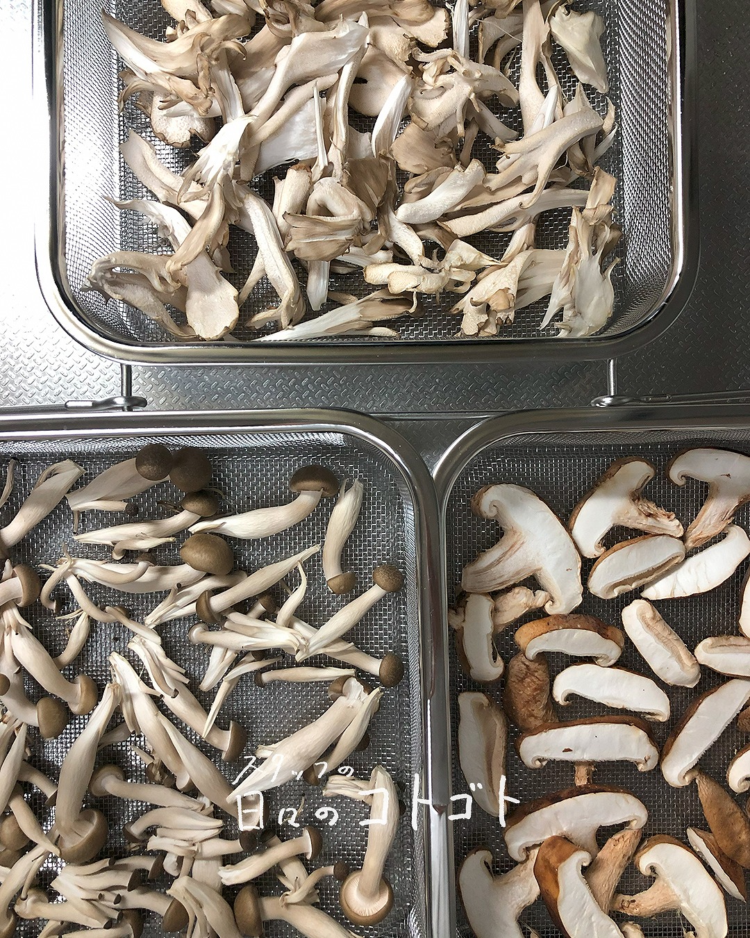 スタッフの日々のコトゴト